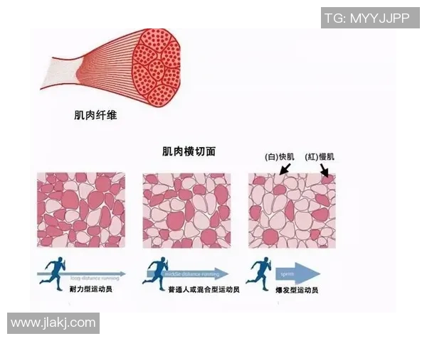 广州足球队与武汉足球队耐力对决赛后分析与反思
